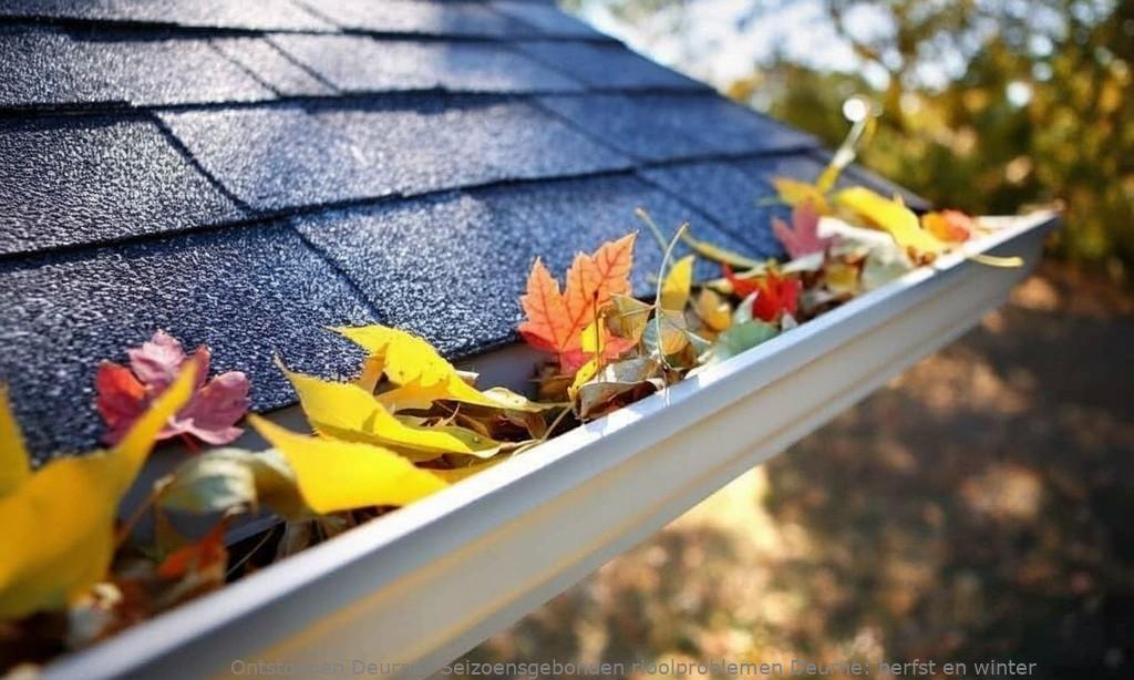 Seizoensgebonden rioolproblemen Deurne: herfst en winter